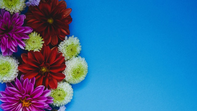 期上线了更 期上线了更