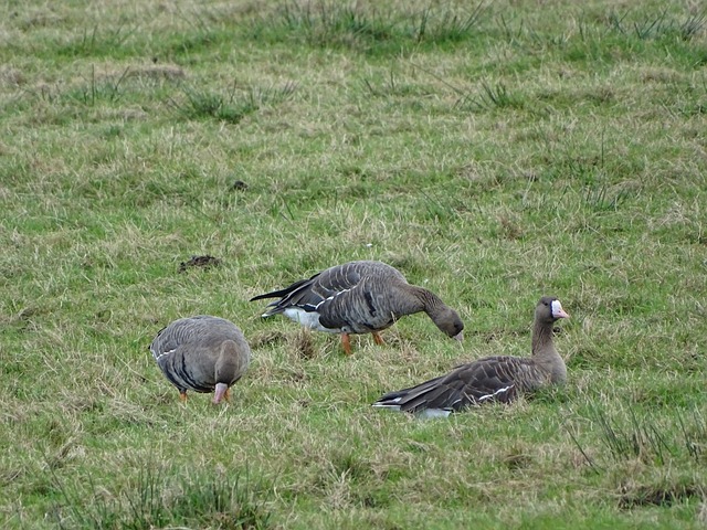 手护卫航行 手护卫航行