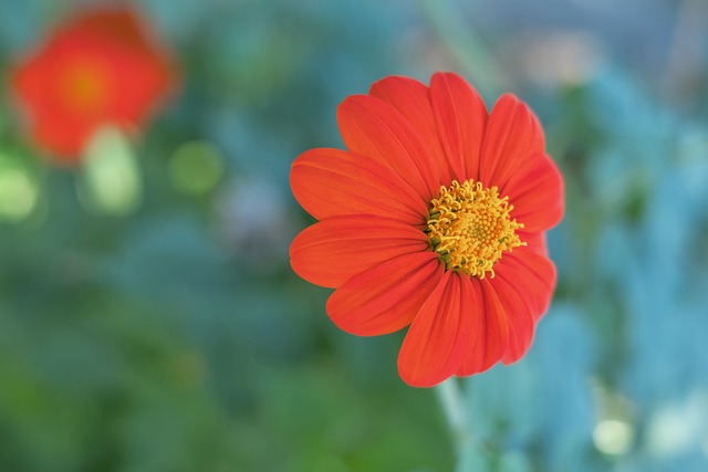 够的机会 够的机会