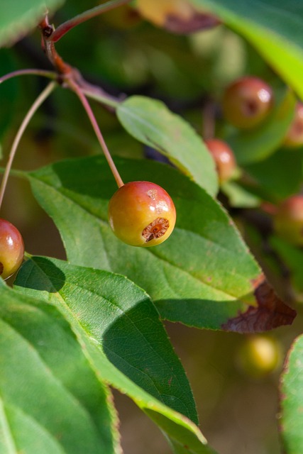 赛事影响和 赛事影响和