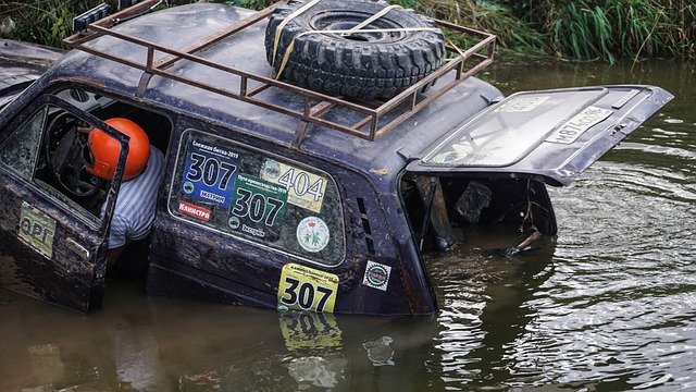 人民公园球 人民公园球