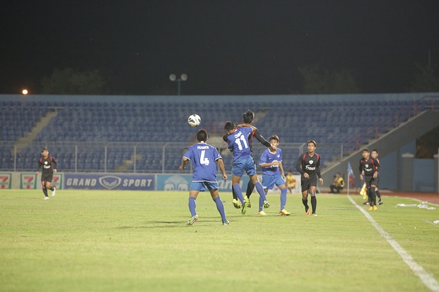 绿色环保的 绿色环保的