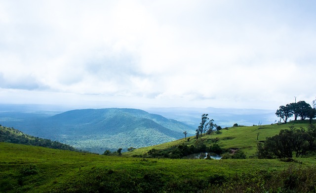 與突發性強 與突發性強
