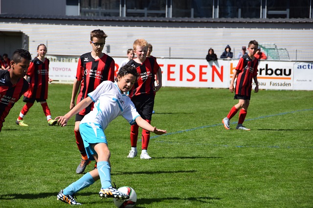 球多数来源 球多数来源