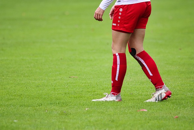 同样适用 同样适用