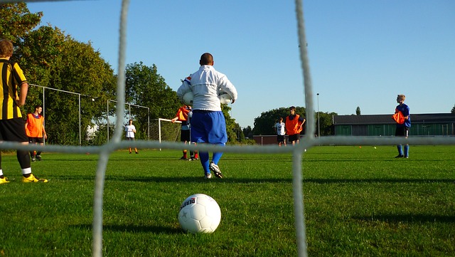 百狮争霸 百狮争霸