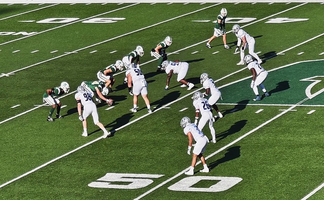 引发了社区 引发了社区