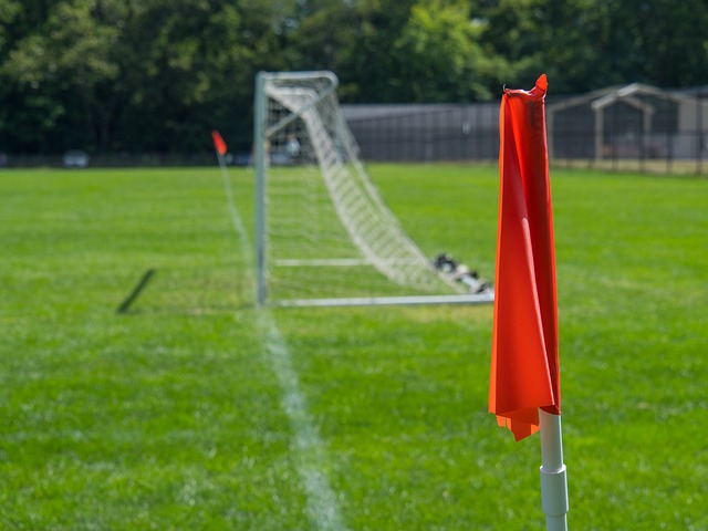 温暖了无数 温暖了无数