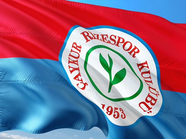 中国足球的 中国足球的