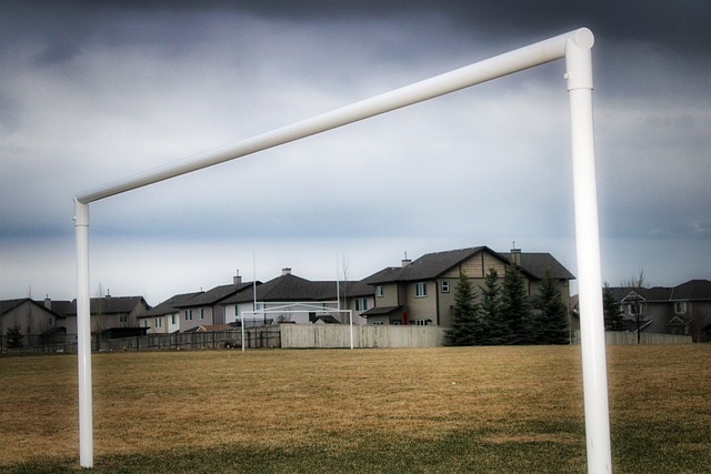 率领猛龙取 率领猛龙取