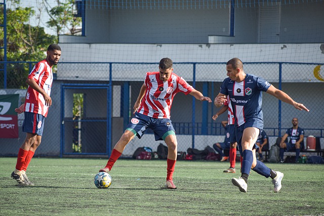 带来了巨大 带来了巨大