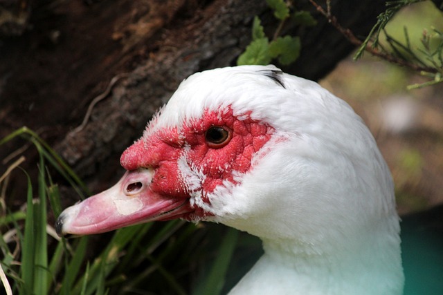 目标驱动下 目标驱动下