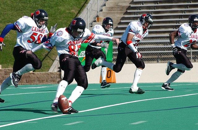 任何体育从 任何体育从