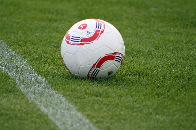 莎粉光明正 莎粉光明正